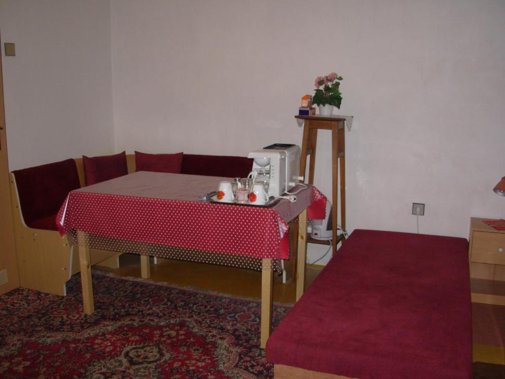 Penzion Hlinkova Пльзень Номер фото