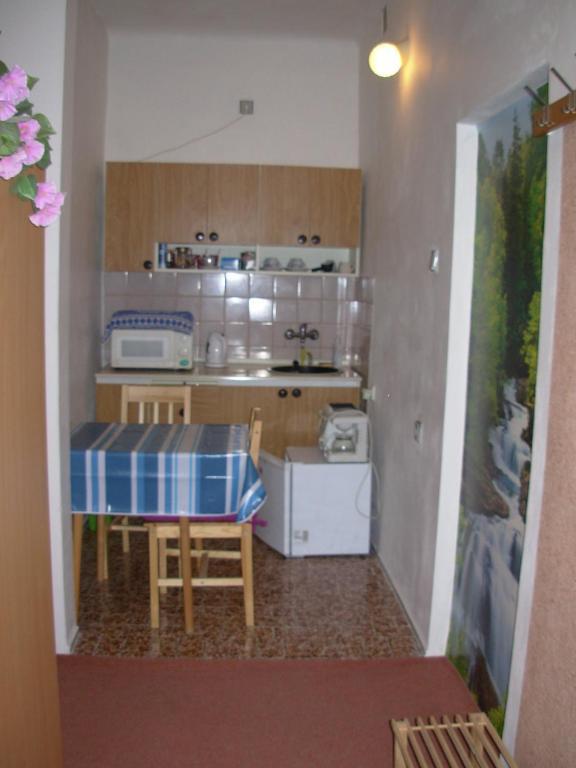 Penzion Hlinkova Пльзень Номер фото
